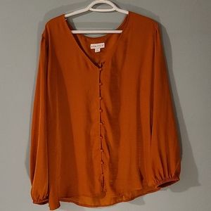 Burnt Orange Silk Blouse